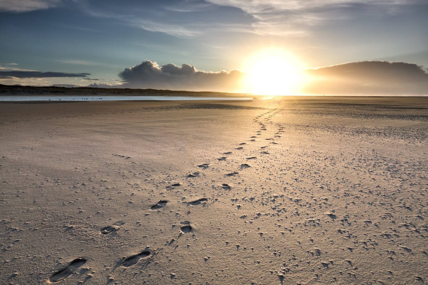 Lees meer over het artikel Voetstappen in het zand